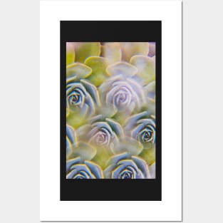 Succulent photographed through prism filter Posters and Art